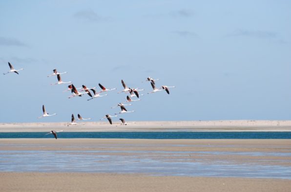 Dakhla_04.2015_002